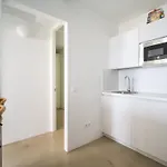 Casa Tortuga 펜션