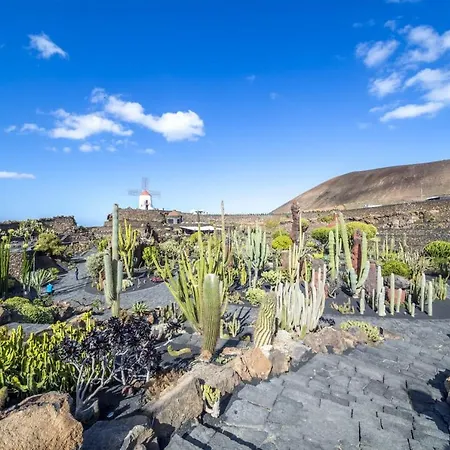 Casa Tortuga Nyaraló *