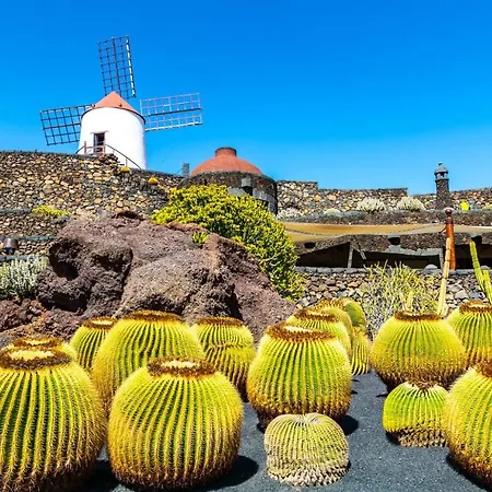 בית נופש Casa Tortuga