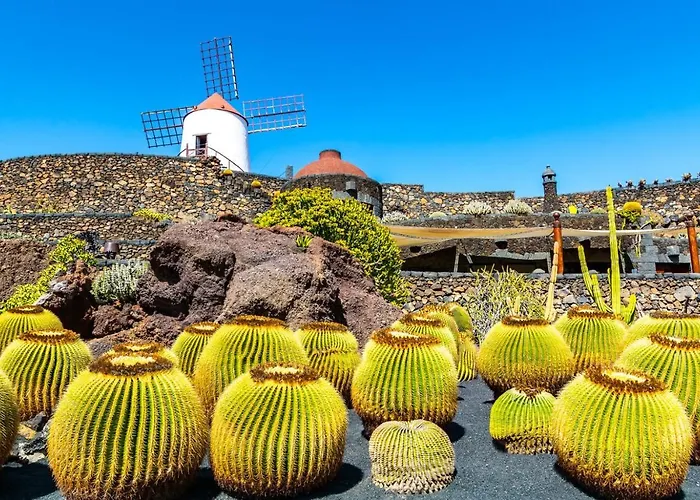 Hébergement de vacances Casa Tortuga