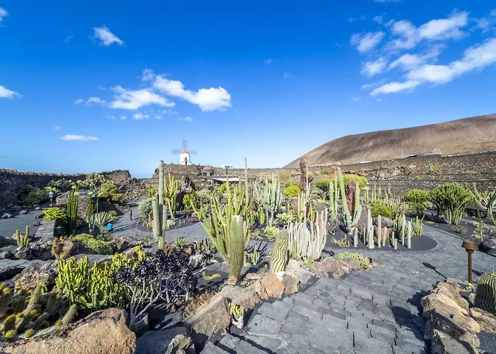 Casa Tortuga Holiday home *