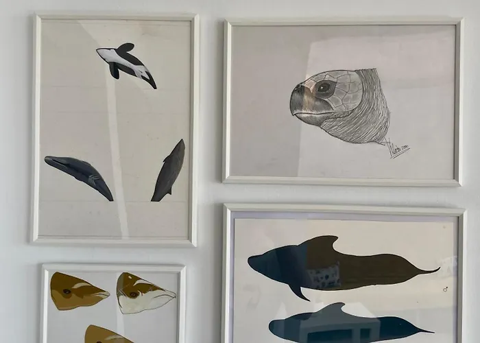 Holiday home Casa Tortuga Punta Mujeres